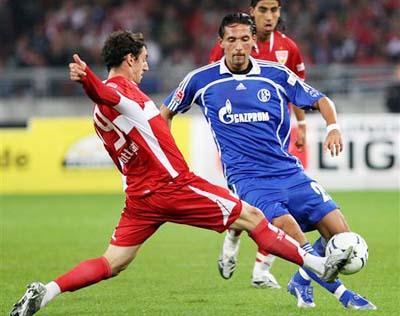 从而影响到 从而影响到